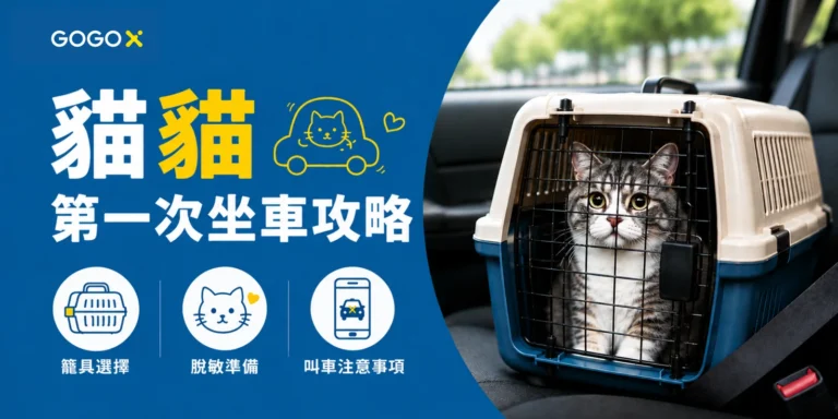 【貓貓坐車】第一次帶貓出門怎樣準備？香港貓主實用指南
