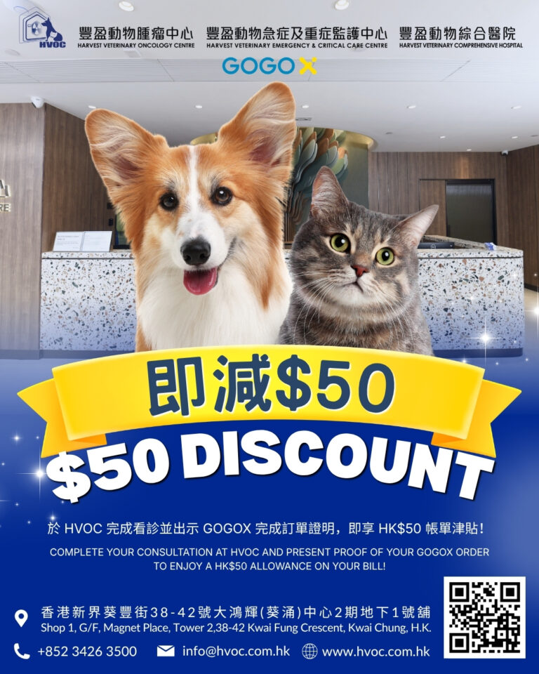 HVOC 豐盈動物醫療三間中心嘅標誌同 GoGoX 標誌嘅九月優惠宣傳圖:一隻威爾斯柯基犬同一隻虎斑貓喺診所接待處前,橫額寫住即減 HK$50,下方列出葵涌地址、電話同網址