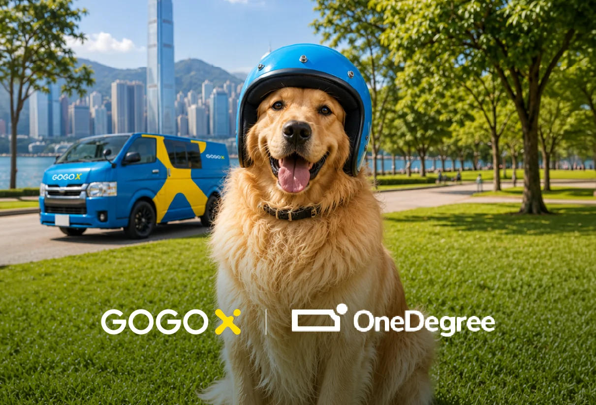 GoGoX 貨 Van 與戴頭盔的金毛尋回犬