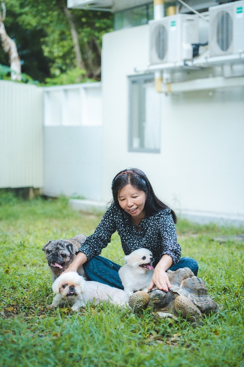 Ivy 坐在阿棍屋中心的草地上,身邊圍著幾隻狗狗