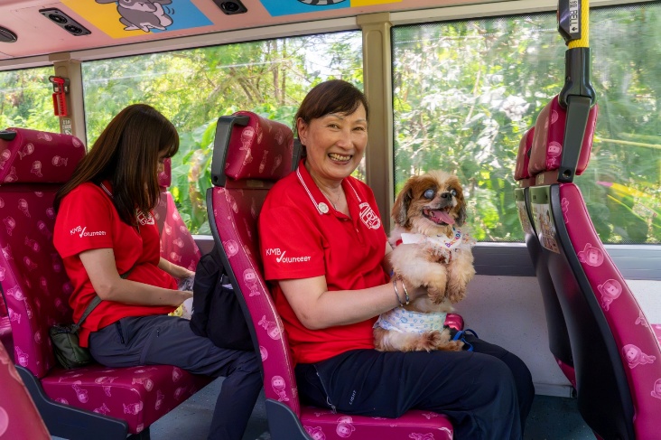 義工抱著阿棍屋的小型犬坐巴士外出