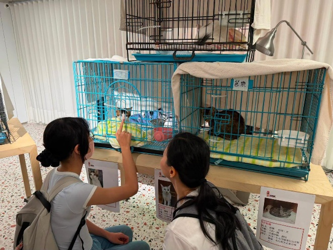 兩名義工在中心的籠舍前與小動物互動